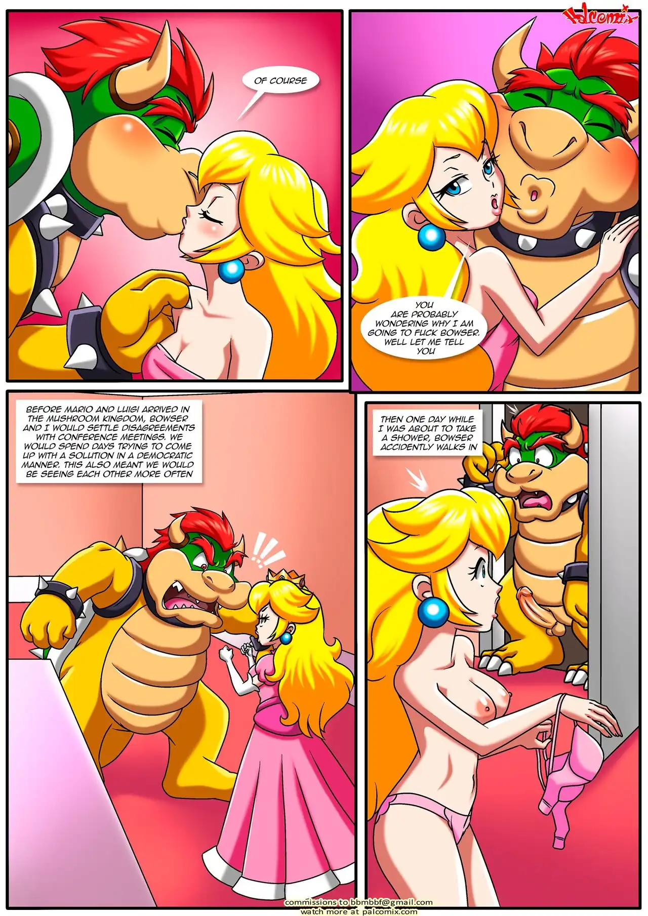 The Mushroom Kingdom Secret Palcomix 05