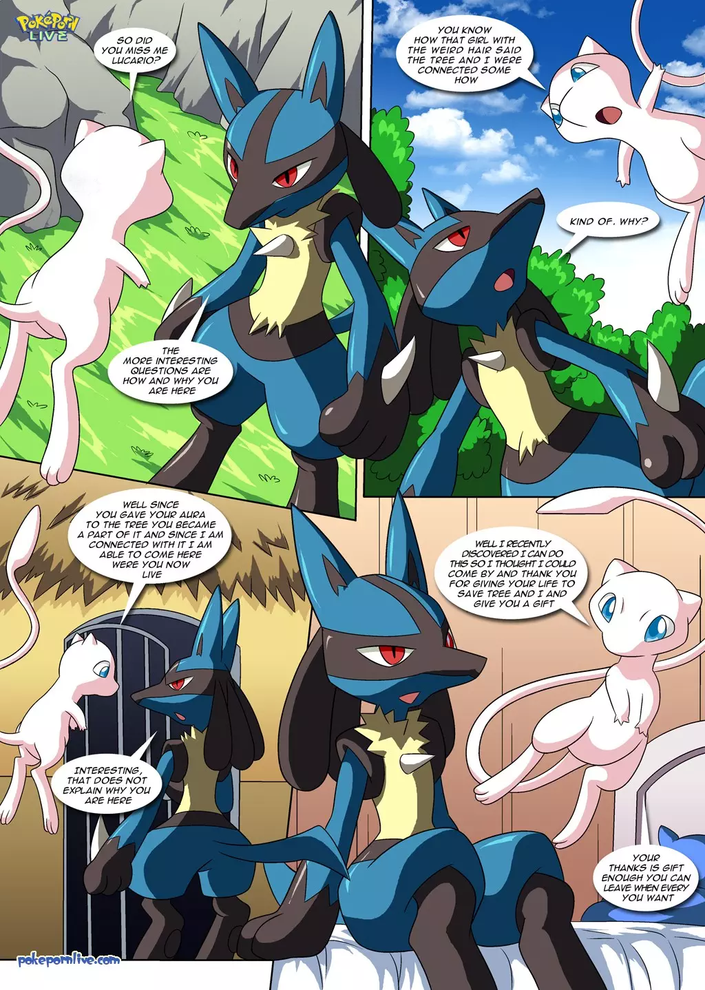 Lucario's Gift 03