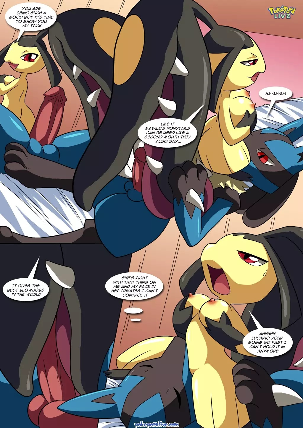 Lucario's Gift 11