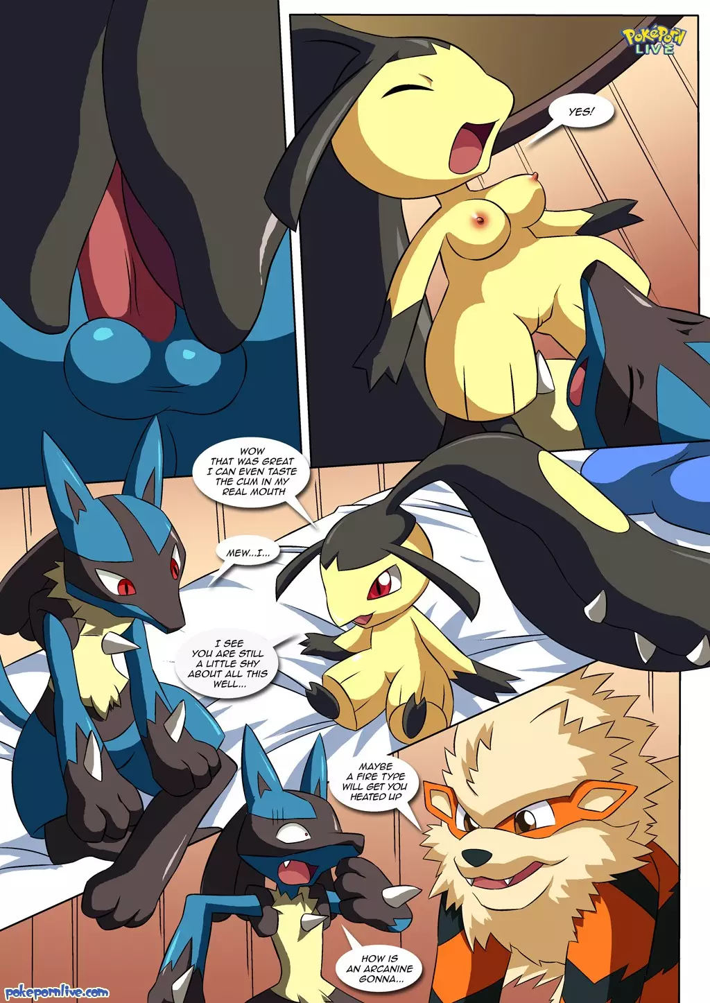 Lucario's Gift 12