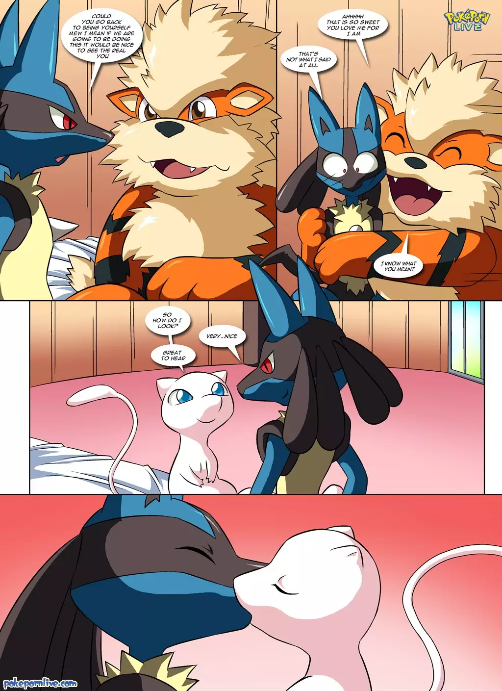 Lucario's Gift 16