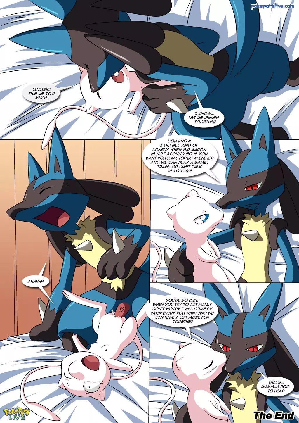 Lucario's Gift 19