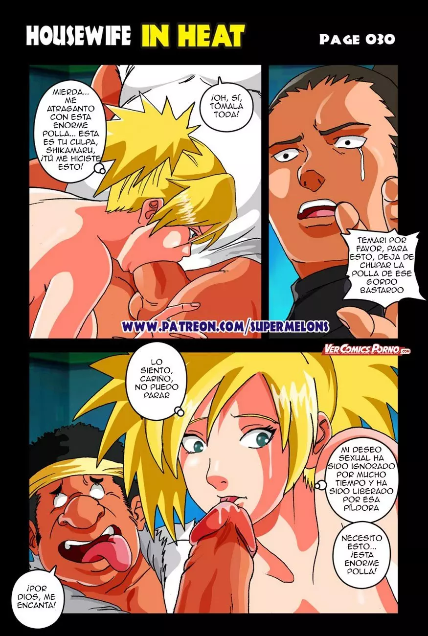 Housewife In Heat – Temari