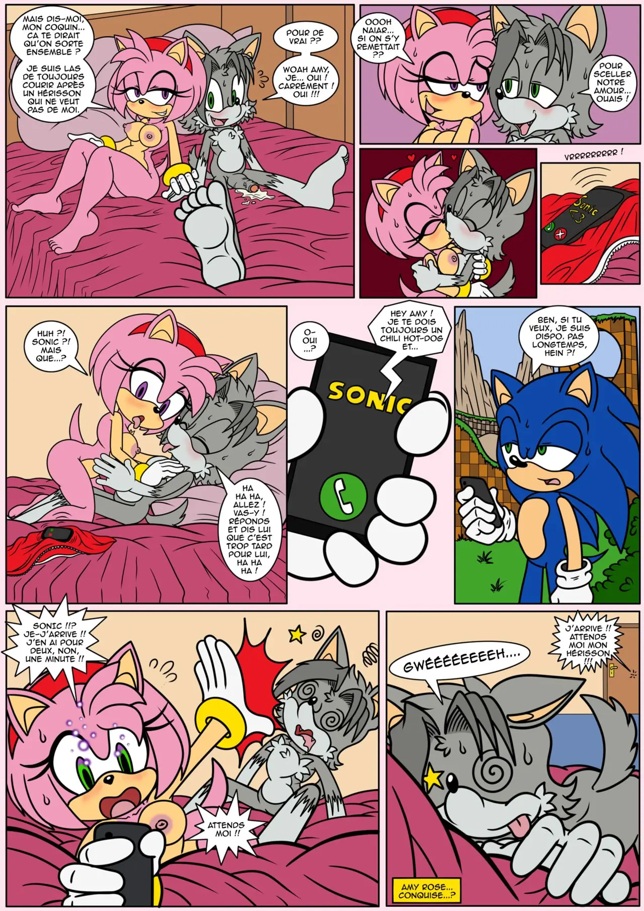 Naiars Misadventures - Chapter 4 - Amy Rose  FRANCAIS numero d'image 10