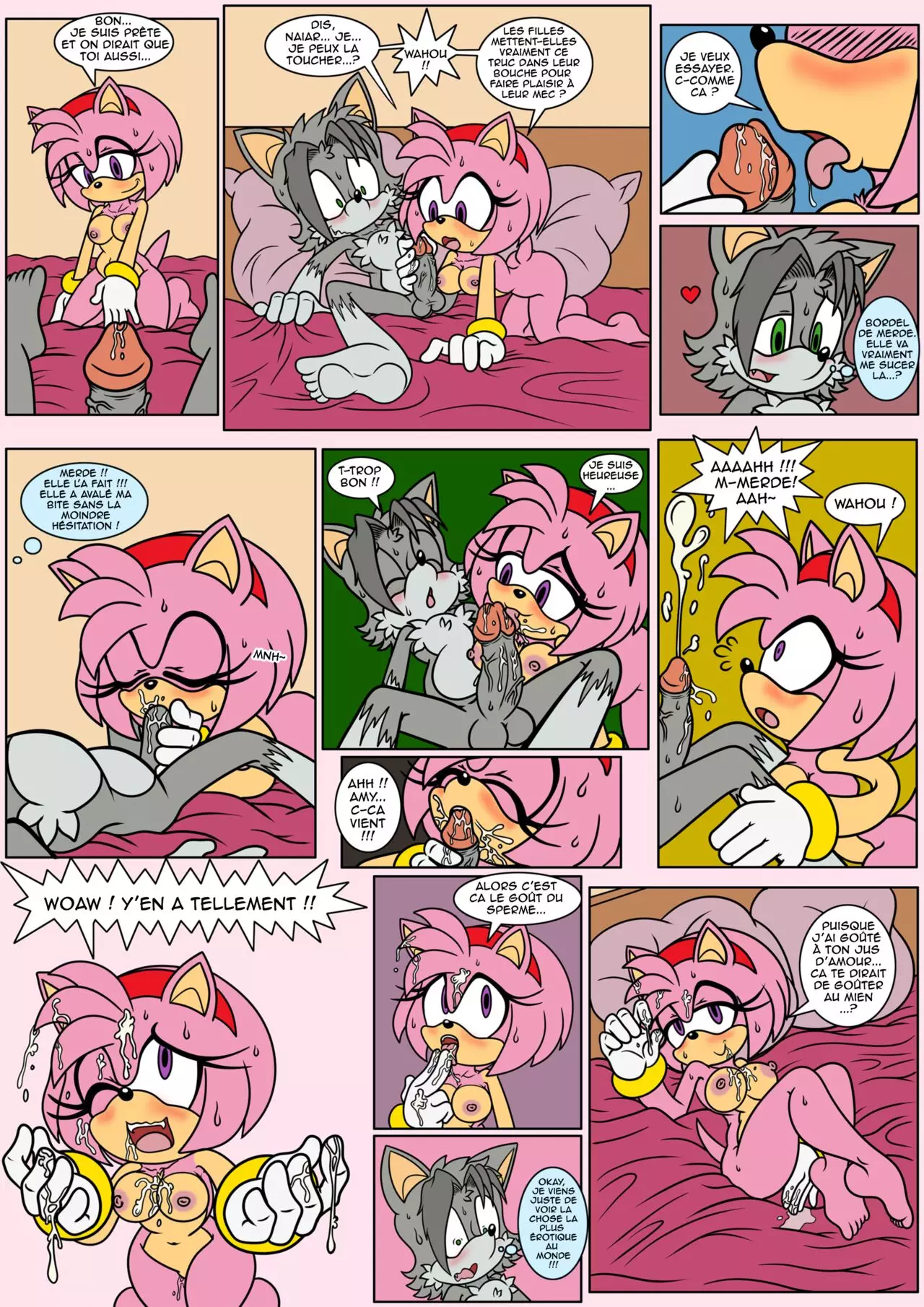 Naiars Misadventures - Chapter 4 - Amy Rose  FRANCAIS numero d'image 5