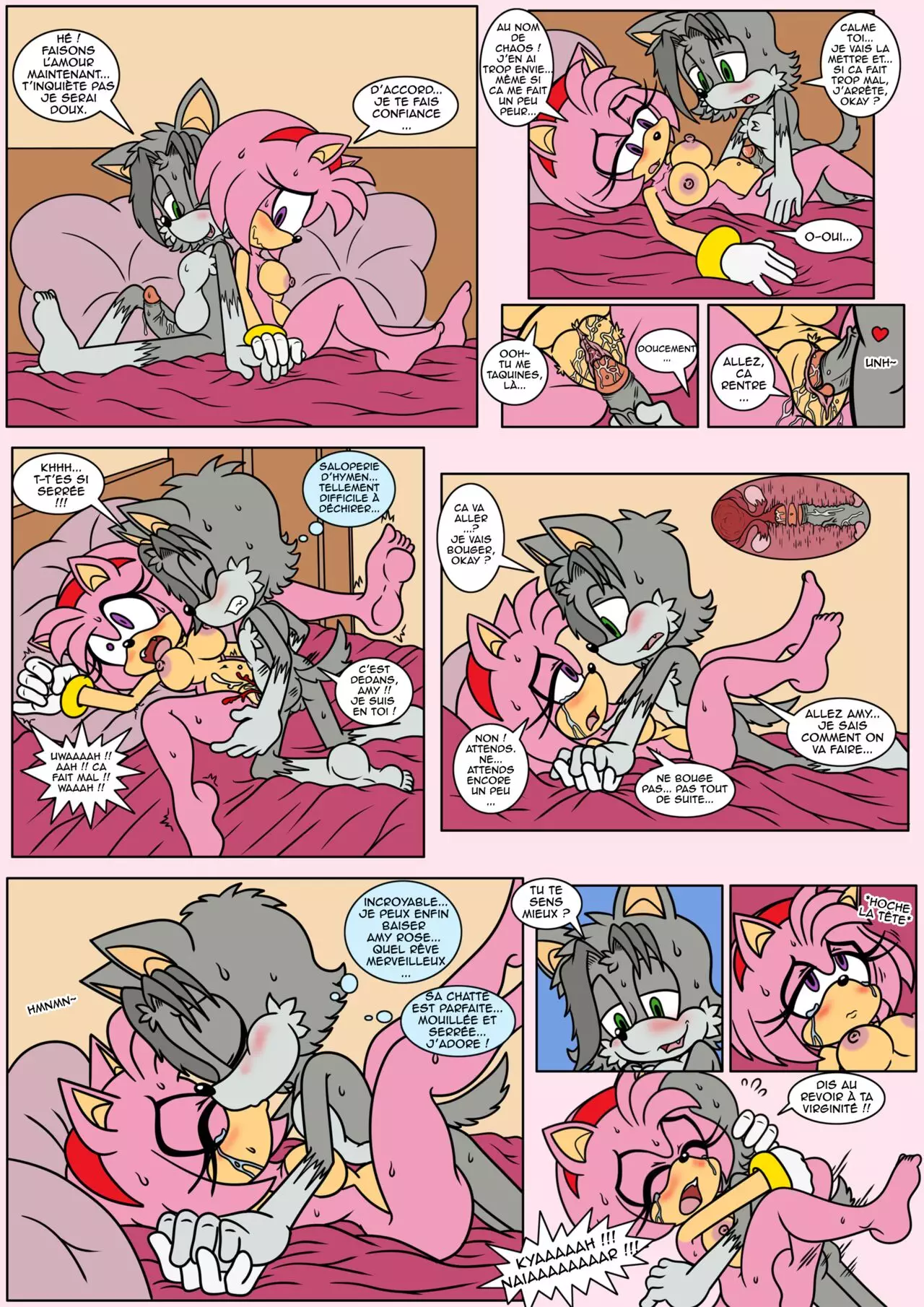 Naiars Misadventures - Chapter 4 - Amy Rose  FRANCAIS numero d'image 7