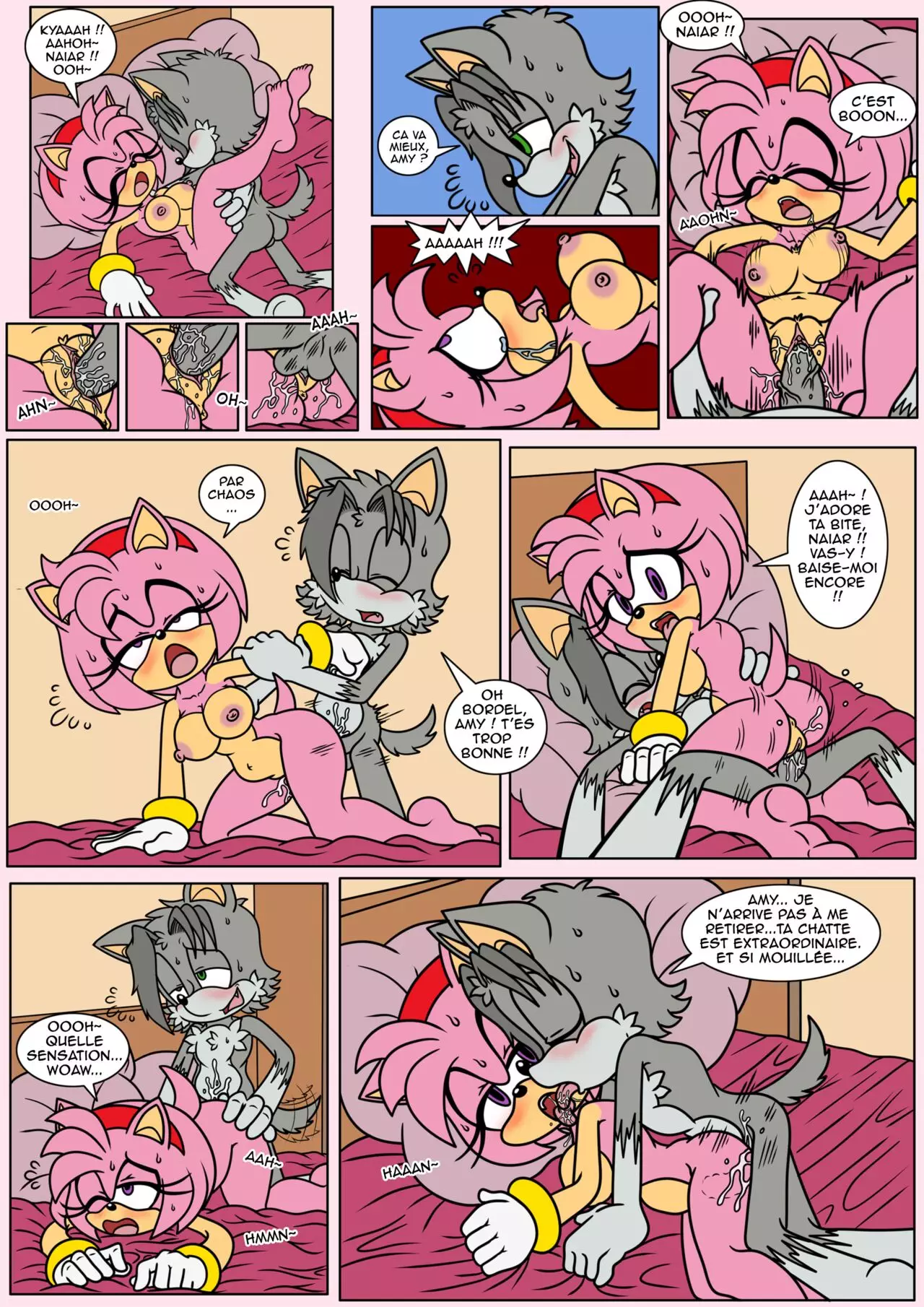 Naiars Misadventures - Chapter 4 - Amy Rose  FRANCAIS numero d'image 8