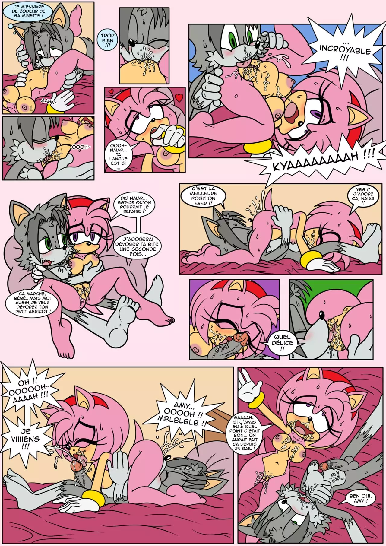 Naiars Misadventures - Chapter 4 - Amy Rose  FRANCAIS numero d'image 6