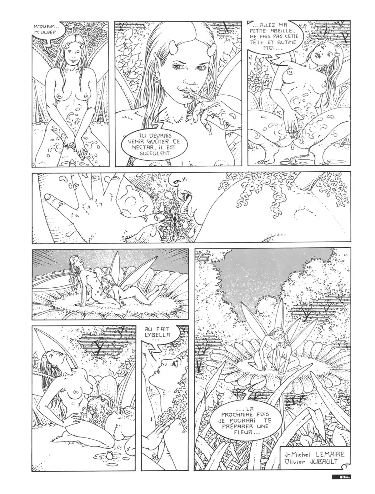 Elfaeries numero d'image 7