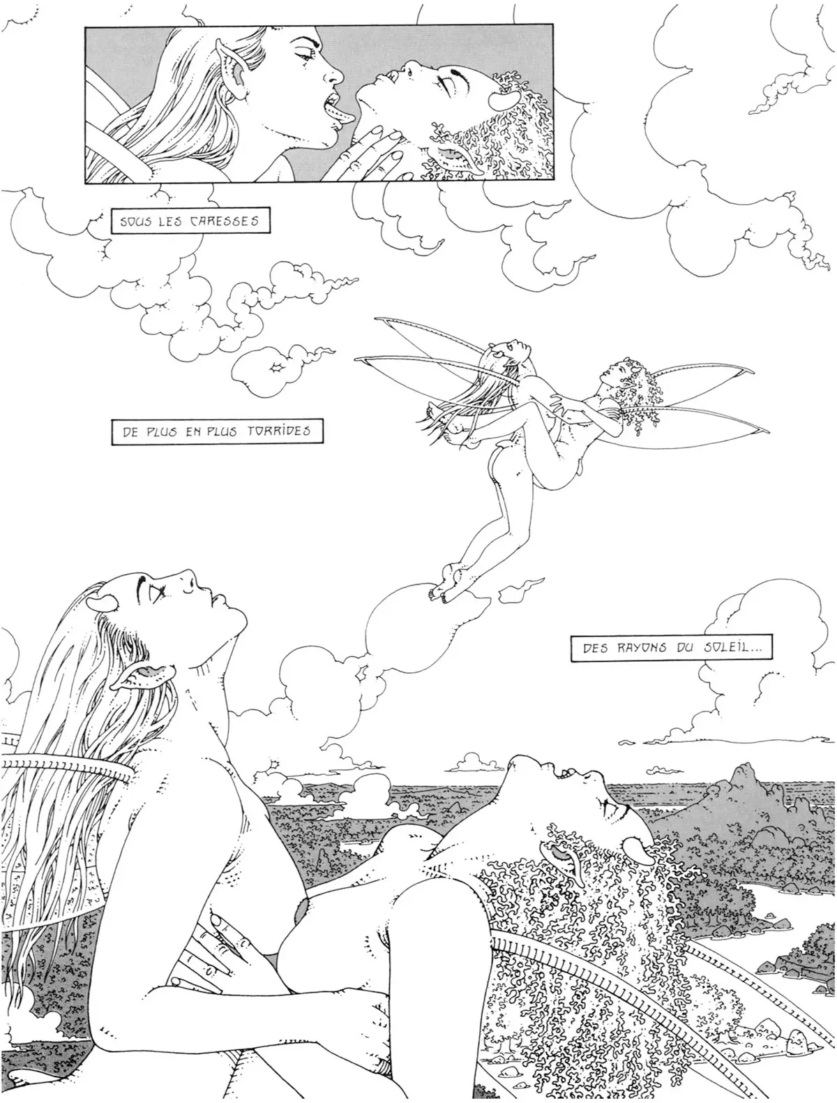 Elfaeries numero d'image 41