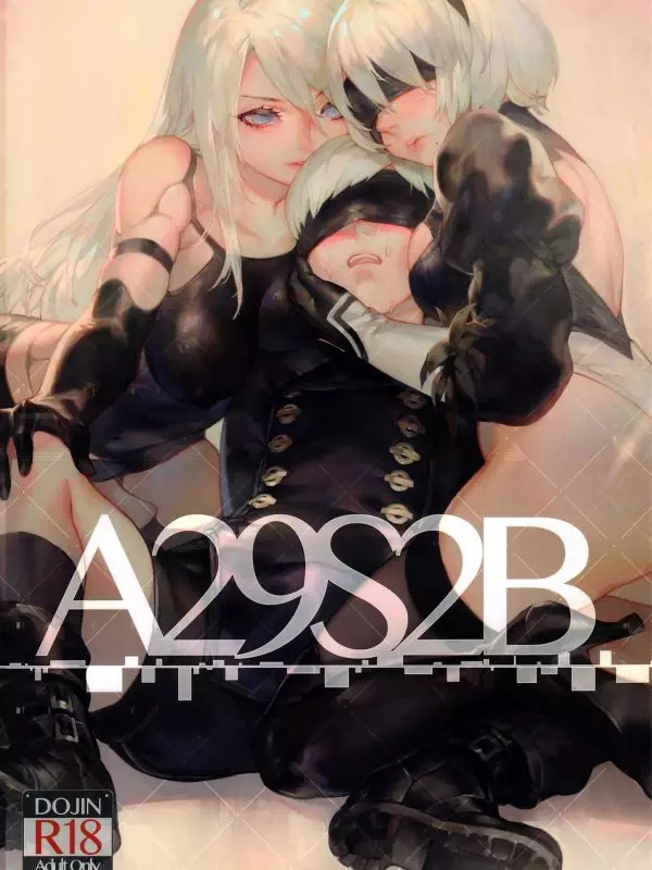 A29S2B – NieR Automata