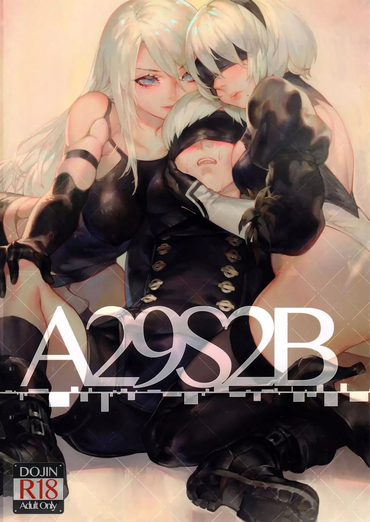 A29S2B – NieR Automata