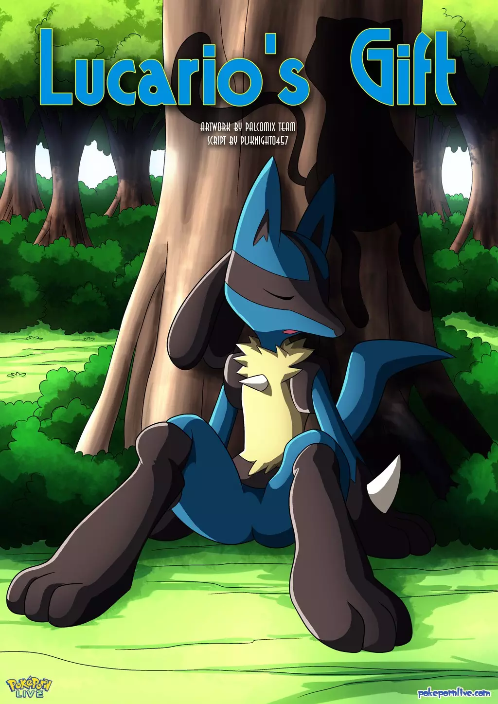 Lucario's Gift 01